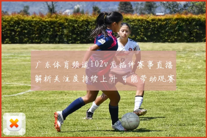广东体育频道102v无插件赛事直播解析关注度持续上升 可能带动观赛方式变化