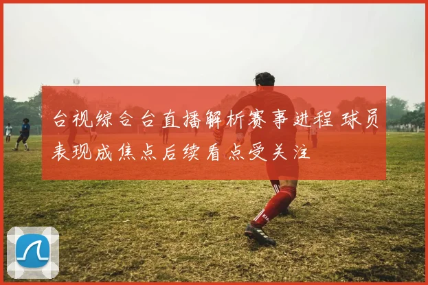 台视综合台直播解析赛事进程 球员表现成焦点后续看点受关注