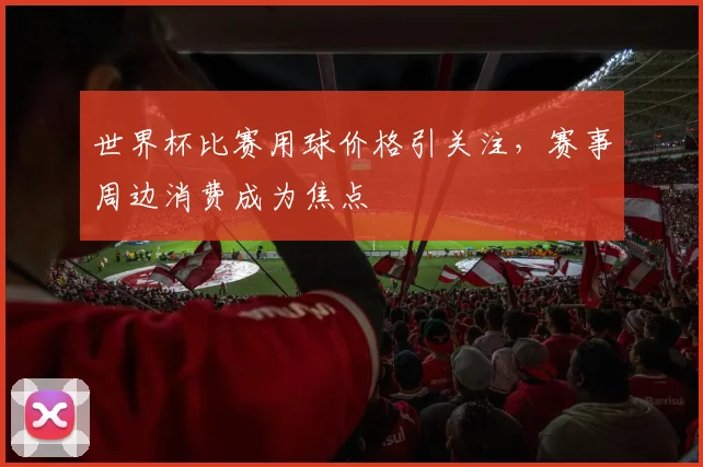 世界杯比赛用球价格引关注，赛事周边消费成为焦点