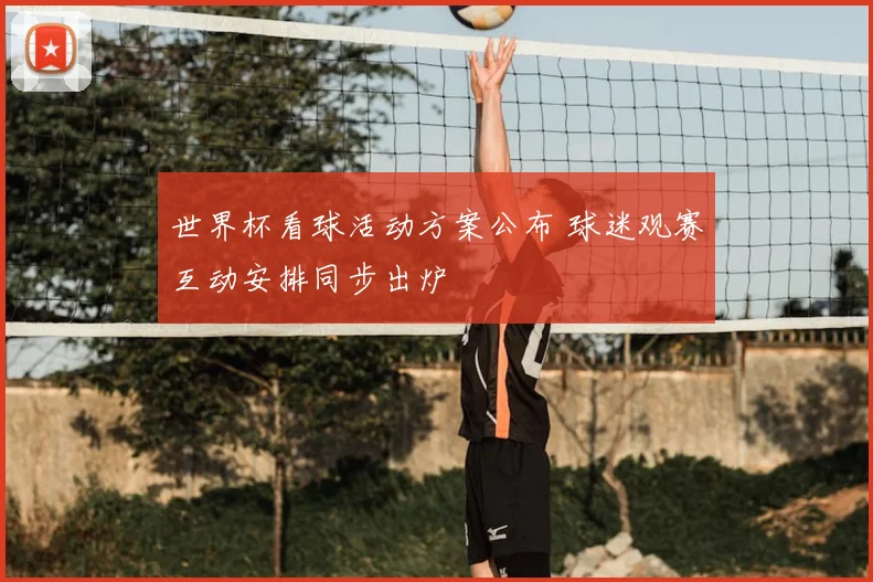 世界杯看球活动方案公布 球迷观赛互动安排同步出炉
