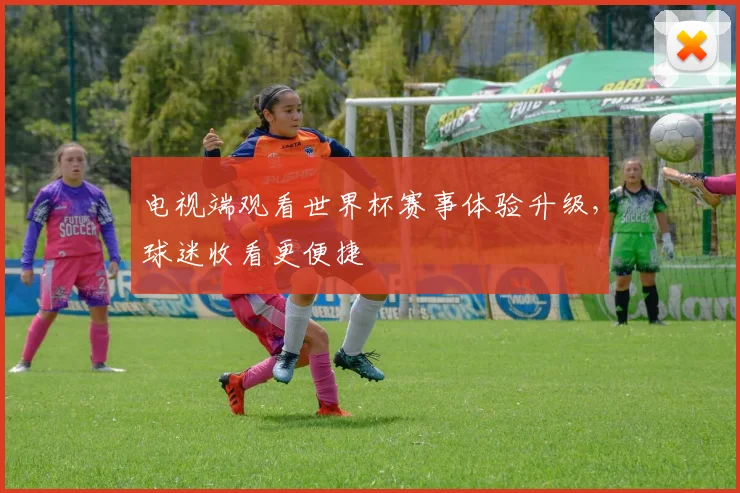 电视端观看世界杯赛事体验升级,球迷收看更便捷