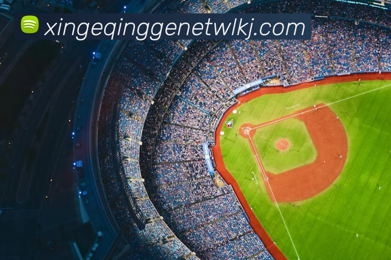 乐球直播免费观看高清版品牌故事