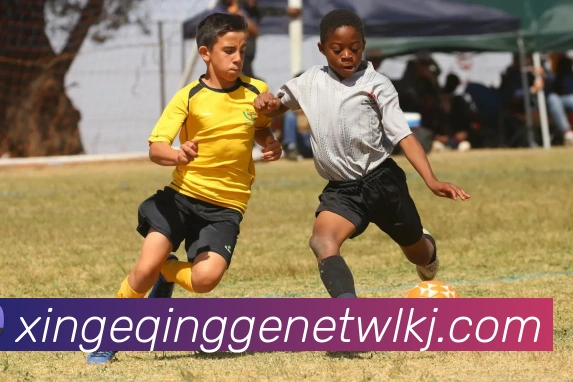 乐球直播免费观看高清版服务体系