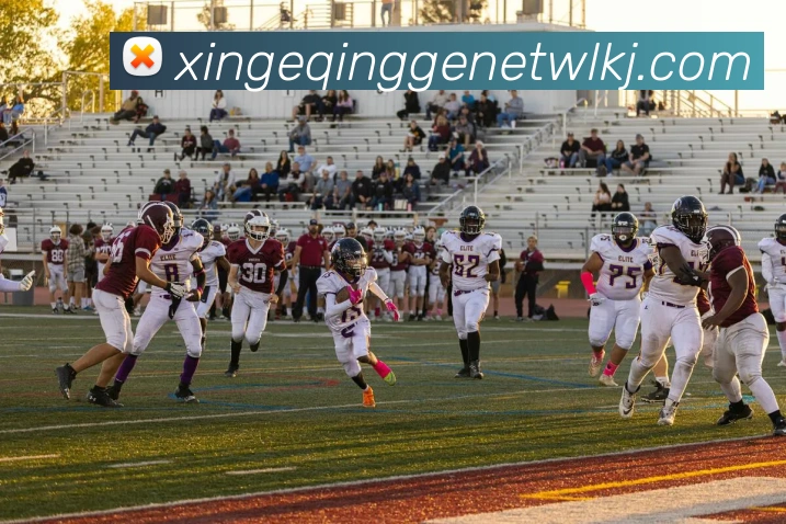 乐球直播免费观看高清版APP 体育赛事宣传图